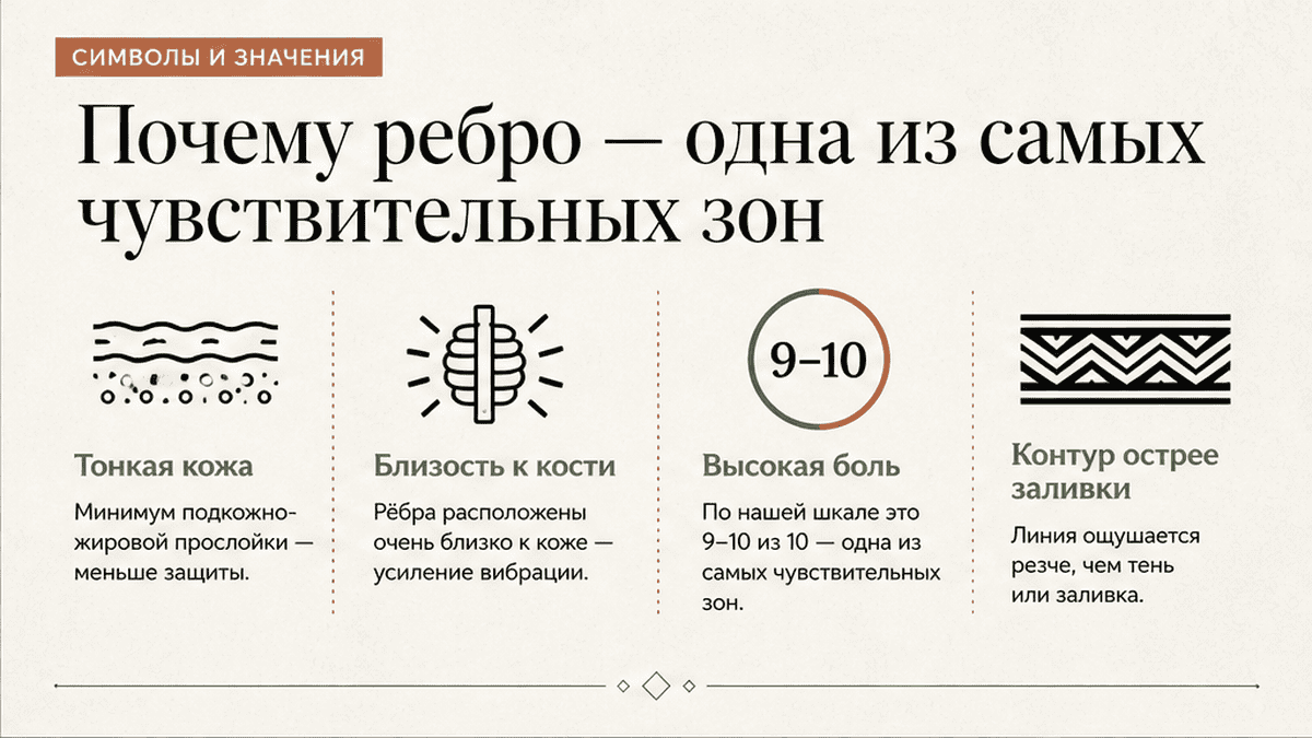 Символы и значения: Почему ребро — одна из самых чувствительных зон